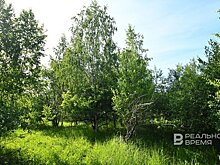 Прокуратура Татарстана вернула федералам 20 га незаконно переданных земель