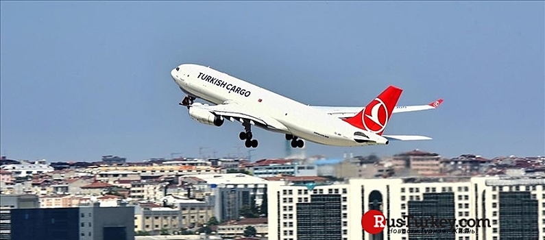 Грузоперевозки Turkish Cargo за 2 месяца выросли на 10%