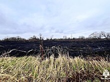 Хабаровск утопает в дыму от лесных пожаров