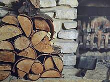 Зеленский не подпишет скандальный «закон о дровах». О чем он и чем возмутил украинцев в преддверии сложной зимы?