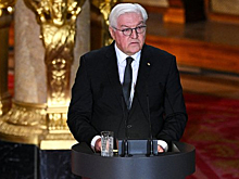 Президент Германии удивился необходимости «защищать Украину от США»