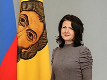 Екатерина Шнайдер поздравила пензенских журналистов с Новым годом