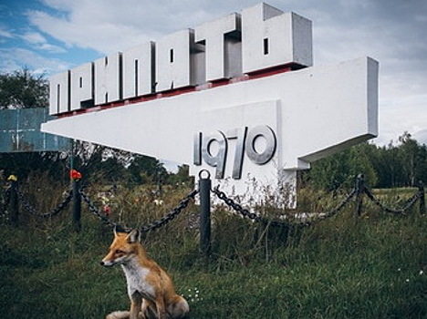 В Богородском состоится лекция "Чернобыльские колокола. Экологические катастрофы мира"