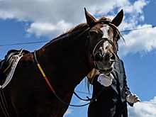 Несколько десятков российских всадников получили нейтральный статус