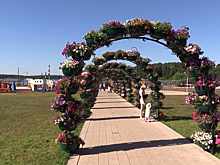 Арки из цветов и удобный бассейн. Как преобразится набережная озера Сенеж в Солнечногорске