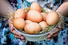 Нутрициолог назвал время, в которое лучше всего есть яйца для похудения