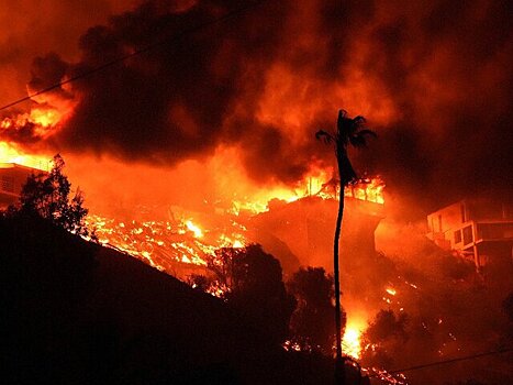 Русские жители Лос-Анджелеса рассказали о пожарах в городе
