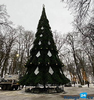 В Калуге к Новому году установят 15 искусственных елей