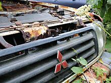 «Паджерики распустились»: очередной автолюбитель привлек внимание владивостокцев