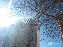 Синоптик Мокеева пообещала нижегородцам весеннюю оттепель в феврале