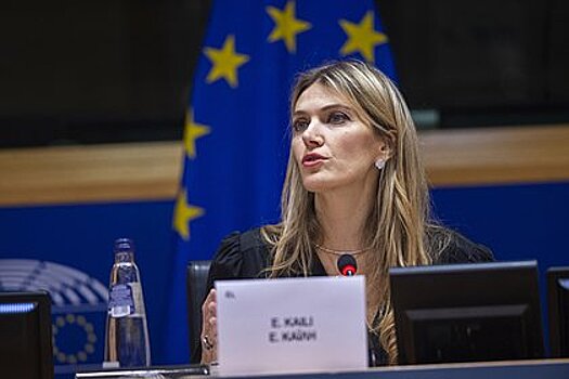 Экс-зампред ЕП подаст в суд на евродепутата за клевету о связях с Россией