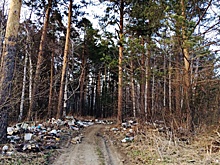 Прокуратура нашла свалки мусора на кладбищах в Ленинградской области