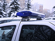 Корова спровоцировала серьезное ДТП в российском регионе