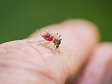 "Это ужас, на улицу не выйти": туристы — об Абхазии