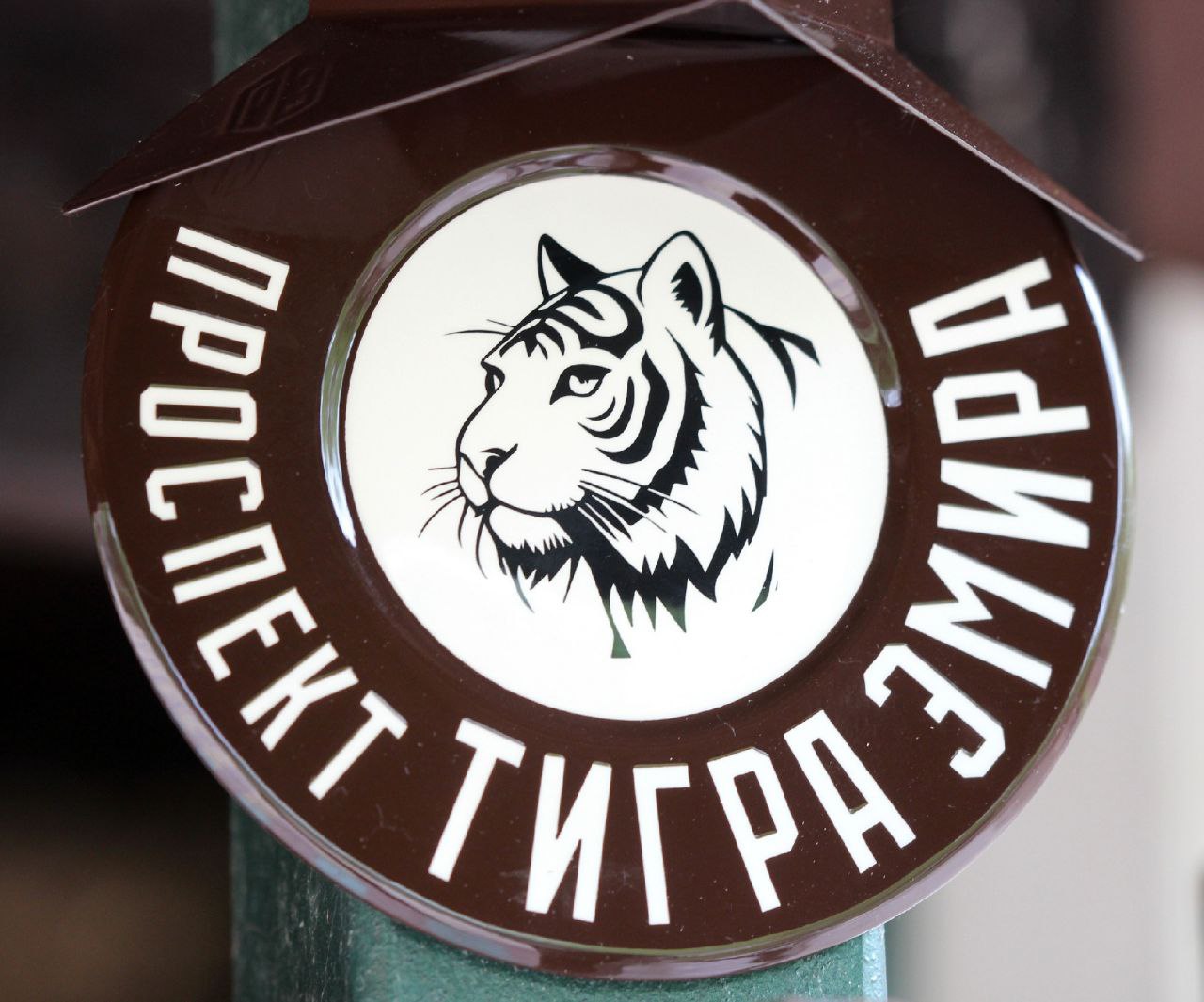 Проспект в честь редкого тигра открыли в нижегородском зоопарке «Лимпопо»