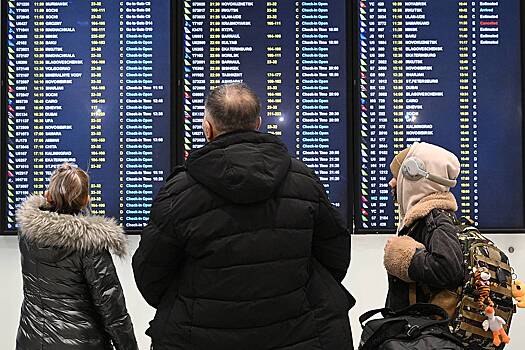 Семья россиян с детьми застряла в аэропорту Москвы из-за задержки рейса почти на сутки