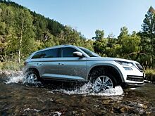 Большой. Русский. Медведь. Тест-драйв Skoda Kodiaq