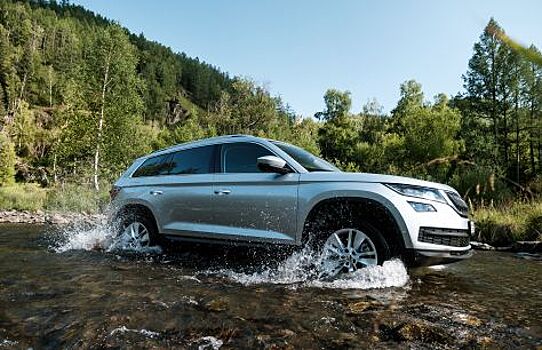 Большой. Русский. Медведь. Тест-драйв Skoda Kodiaq