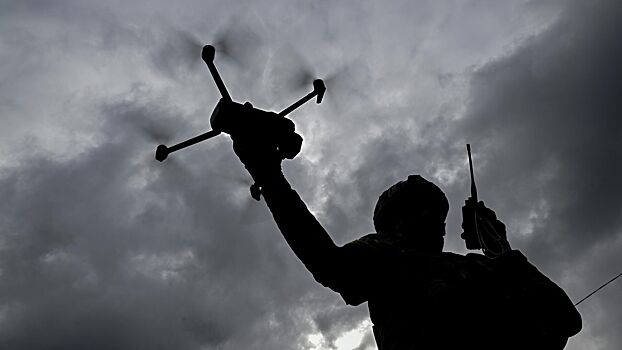 ВС России освободили населённый пункт Диброва в ДНР