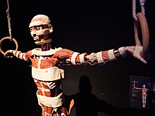 В сети потребовали отменить «выставку трупов» на ВДНХ