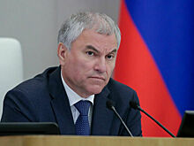 Володин: Киев разворовал направленные ему деньги, и это стало очевидным всем