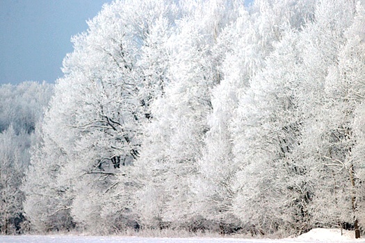 Минск: Как долго продержится морозная погода в стране