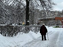 Пенсионерка продала квартиру и зубные коронки после звонка мошенников