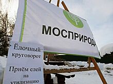 «Елочный круговорот» стартовал в Москве