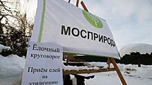 «Елочный круговорот» стартовал в Москве