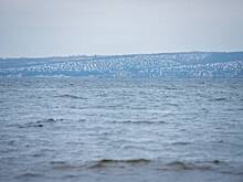 Сброс загрязненных сточных вод в Волгу обещают сократить на 63,7% к 2025 году