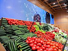 Севастопольские огурцы заполонят полки магазинов в рамках импортозамещения