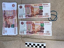 Начальника полиции поймали на получении крупной взятки в Белгородской области