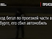 Пешеход бегал по проезжей части в Петербурге, его сбил автомобиль
