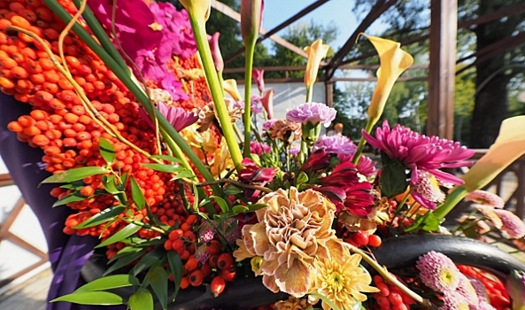 Цветочные облака, дракон и железная дорога: В Воронеже открылся фестиваль «Город-сад»