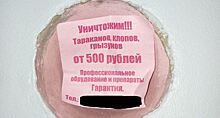 Искусственный спрос: тюменцы обвинили дезинсекторов в распространении тараканов