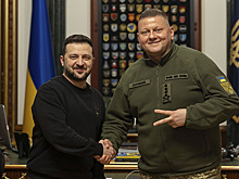 Песков высказался о возможной замене Зеленского Залужным