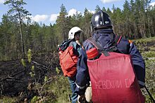 Без дыма, без пламени: за не потушенные быстро пожары введут ответственность