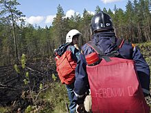 Без дыма, без пламени: за не потушенные быстро пожары введут ответственность