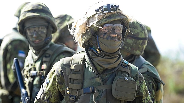 Эстония примет участие в учениях НАТО в Гренландии