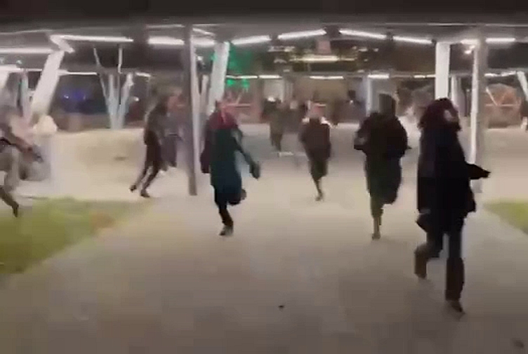 Стали известны подробности инцидента со стрельбой в подмосковном парке