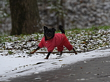 Похолодание придет в Подмосковье в выходные