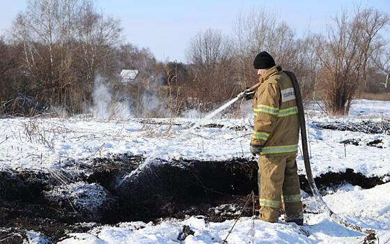 В Скопинском районе загорелся торфяник