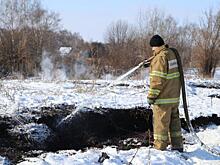 В Скопинском районе загорелся торфяник