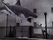 Начата работа над седьмым фильмом франшизы "Акулий торнадо"