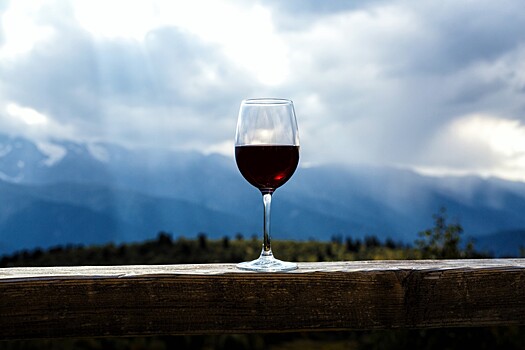 В Крыму в тестовом режиме заработал первый в России винный парк