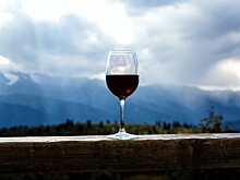 В Крыму в тестовом режиме заработал первый в России винный парк