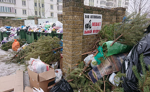 В Курске на переработку сдали более 1500 кубометров новогодних деревьев
