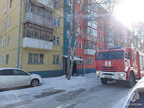 Под Новосибирском сотрудники МЧС спасли из ребёнка из горящей квартиры