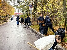 В Теплом Стане провели субботник