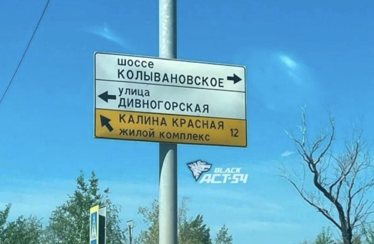 В Новосибирске установили указатель с ошибкой